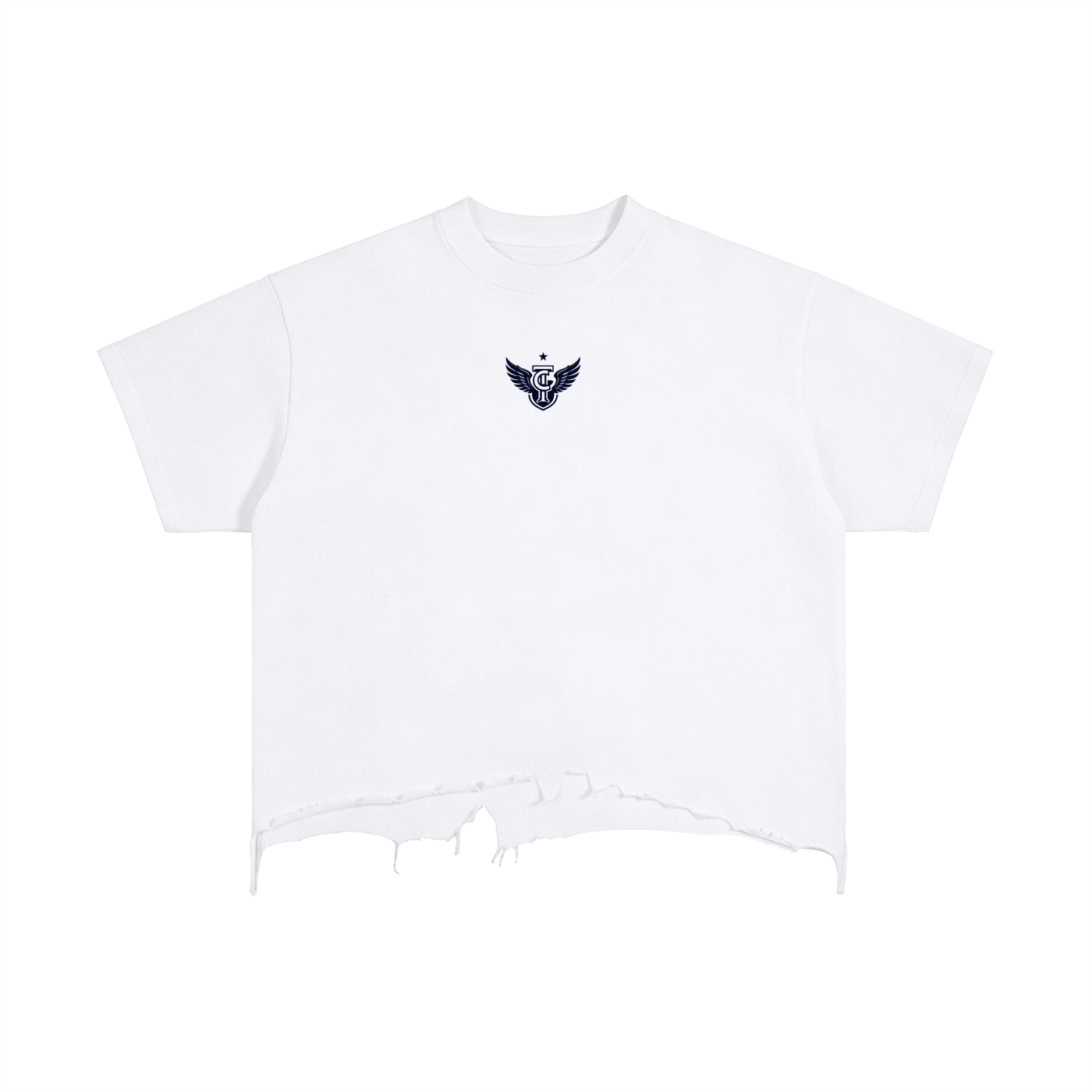 Vintage Wash Boxy Distressed Hem T-Shirt